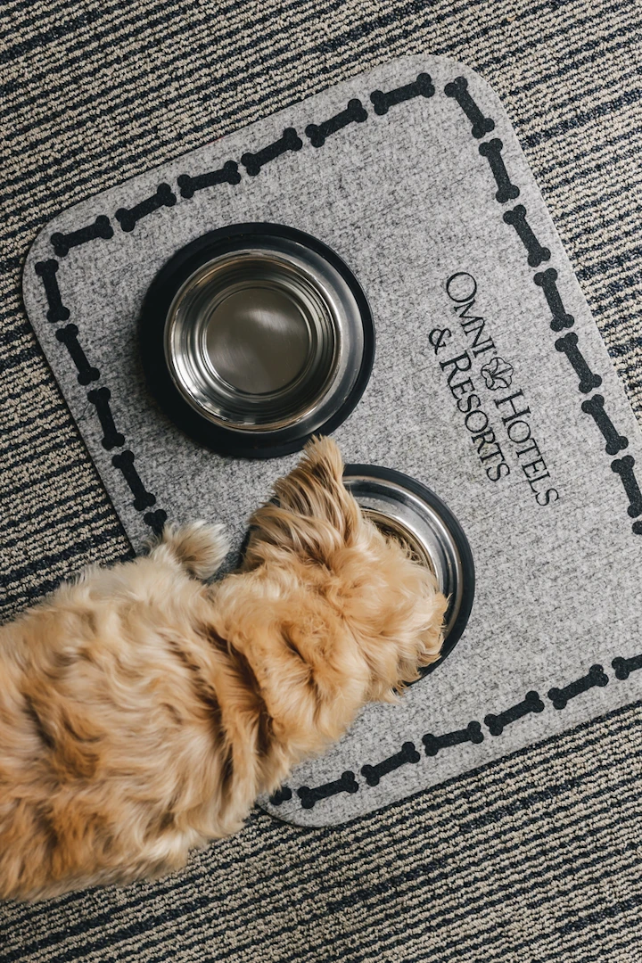 Chef & Four-Legged Friends at Omni La Costa Resort & Spa