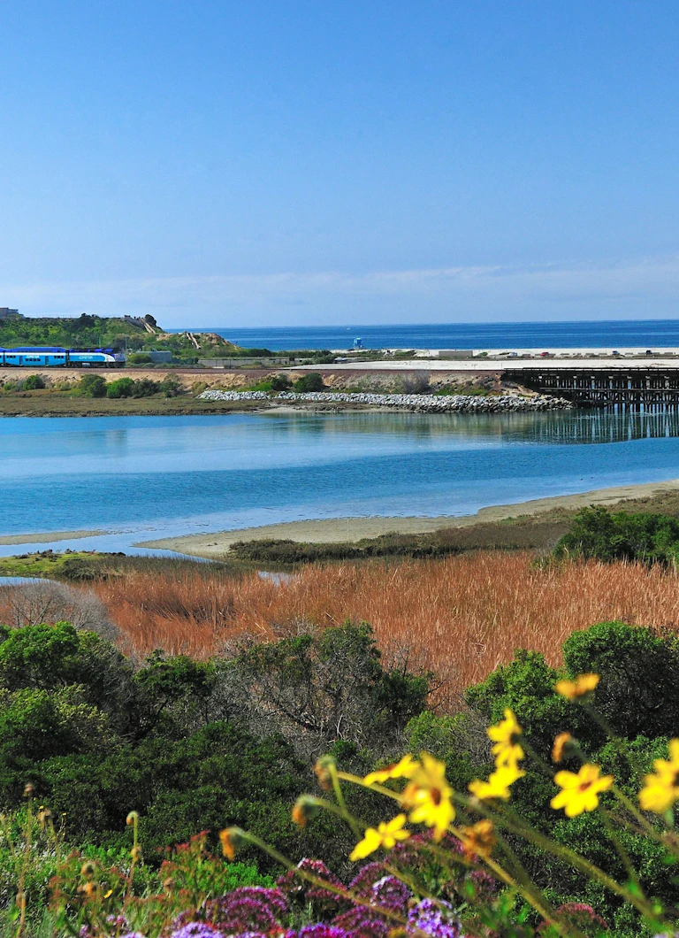 Parks | Visit Carlsbad